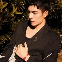 Vương Hạo Hiên (em VNB)