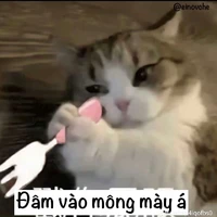 tác giả