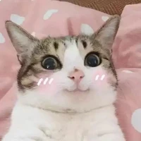 Hàng xóm 1