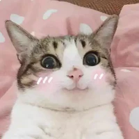 Hàng xóm 1