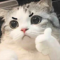 Hàng xóm 2