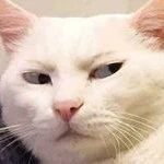 Mẹ Bảo Bình nữ