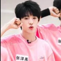 Trương trạch vũ