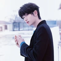 Đinh Trình Hâm
