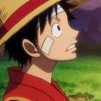 Monkey D Luffy