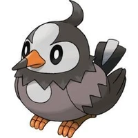 Starly