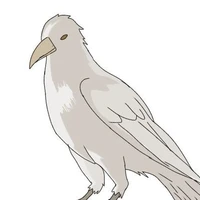 Saru