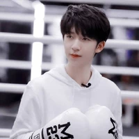 Hạ Tuấn Lâm(trong truyện)