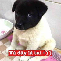 Cả lớp