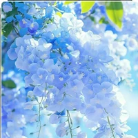 Nhân Vật Quần Chúng