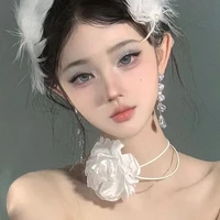 Tấn Nghiên_nghiennee