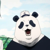 Panda.