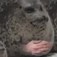 Swekay_tg
