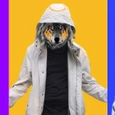 707(sói)