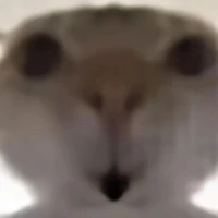 tác giả xiu xiu đẹp zaii 😘