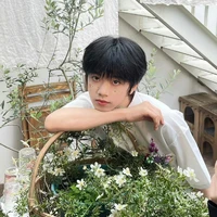 Trương Hàm Thụy