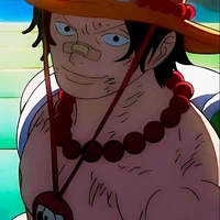 Pogast D Ace