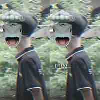 Trung thật 