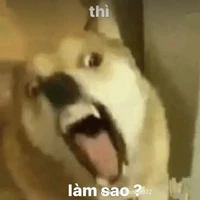 anh(bạn thân mỏ hỗn )