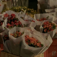 Page tiệm hoa "Tournesol"