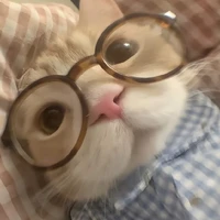 Tác giả