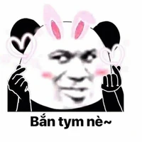 Tác Giả Chip