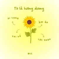 Tác giả