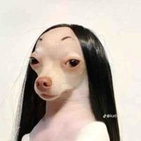 T/G 