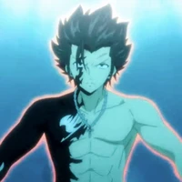 Gray Fullbuster