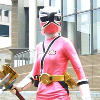 Shinken Pink - mako