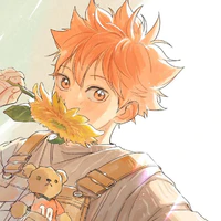 Hinata Shouyou_Sunn