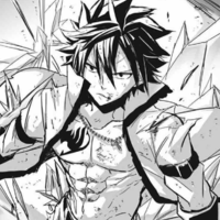 Gray Fullbuster