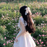 Quinn_Quỳnh