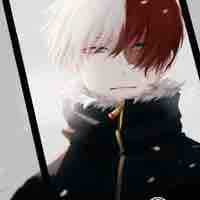 Todoroki Shotou
