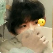 Trương Cực
