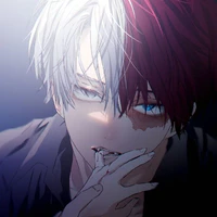 Todoroki Shoto