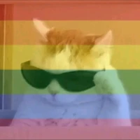 con tg sống chết vì OTP