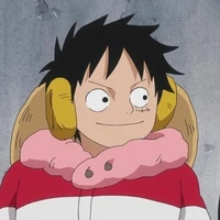 Monkey D. Luffy [O]