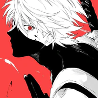 Hatake(Uzumaki) Kakashi