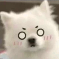 5 ae chu