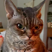 Tác giả dở hơi^⁠_⁠^