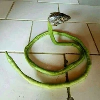 khi nào tư bản trả lương?