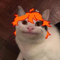 Ken