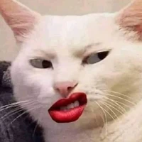 All Công