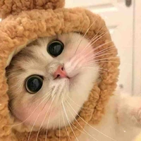 Tác giả