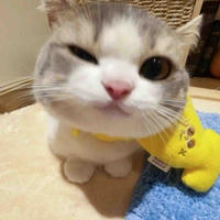 Tác giả