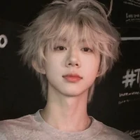 Trần Dịch Hằng