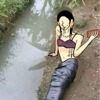 Tác giả đây
