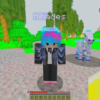Hiha des