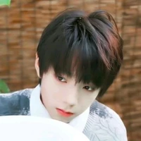 Vương Lỗ Kiệt